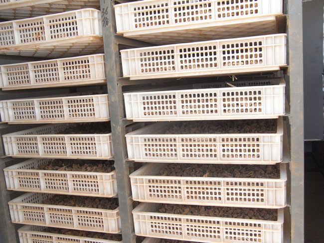 文山三七熱泵烘干項(xiàng)目