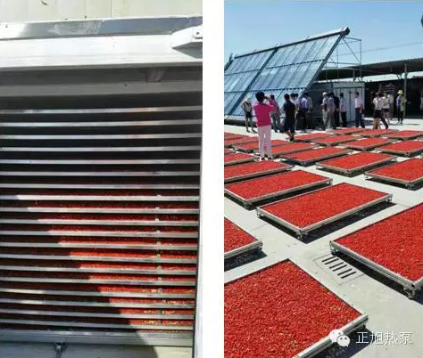 枸杞熱泵烘干機效果 枸杞熱泵烘干機效果