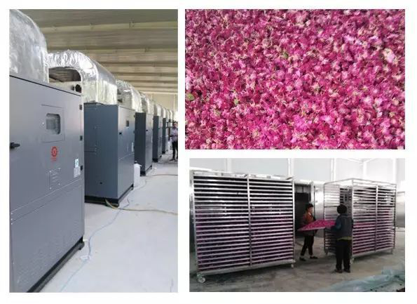 玫瑰花空氣能熱泵烘干機 玫瑰花空氣能熱泵烘干機