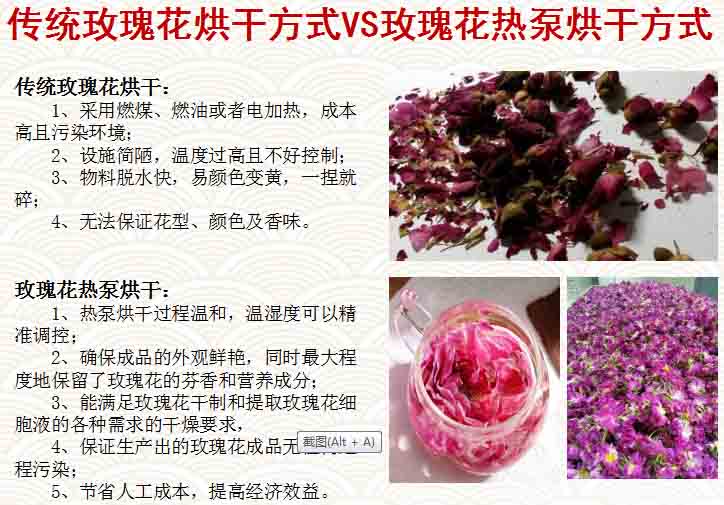 玫瑰花烘干熱泵對比 玫瑰花烘干熱泵對比