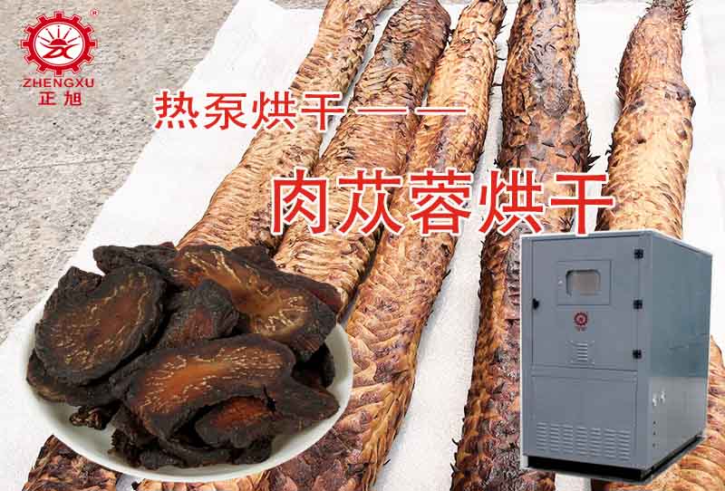 正旭肉蓯蓉熱泵烘干工藝(烘干溫度、時間) 正旭肉蓯蓉熱泵烘干工藝(烘干溫度、時間)