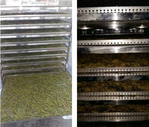 正旭豆角熱泵烘干方案 正旭豆角熱泵烘干方案